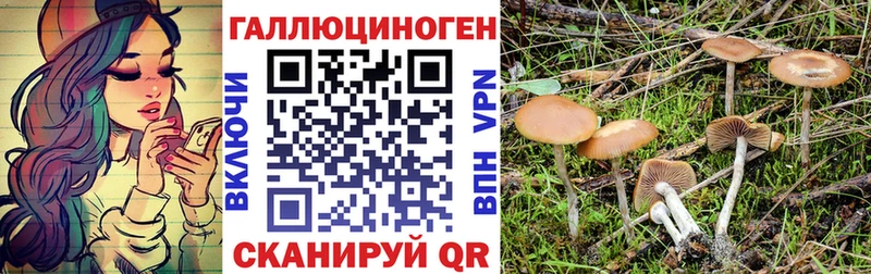 закладки  Усть-Илимск  Галлюциногенные грибы Magic Shrooms 
